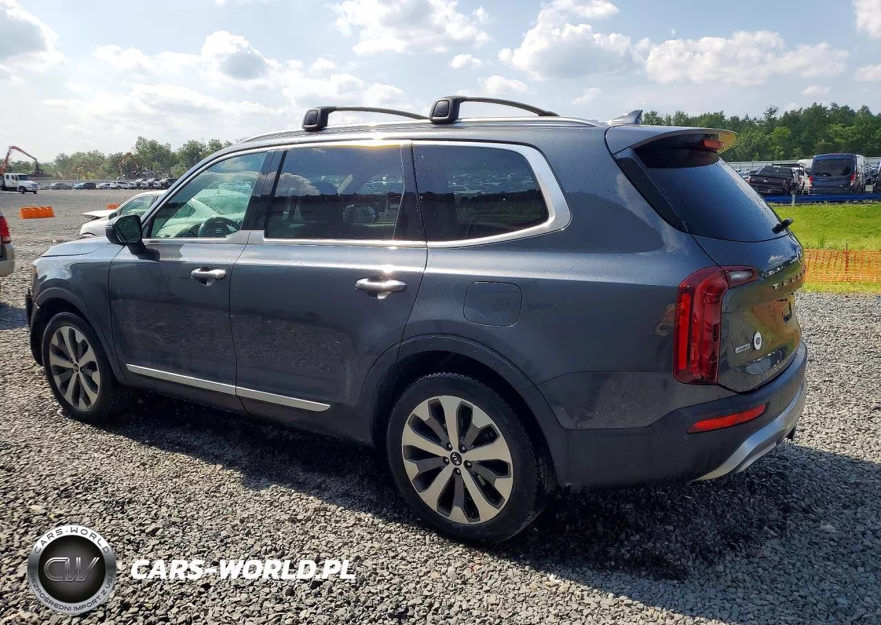 2020 Kia Telluride S VIN:5XYP6DHC3LG058542 - 2