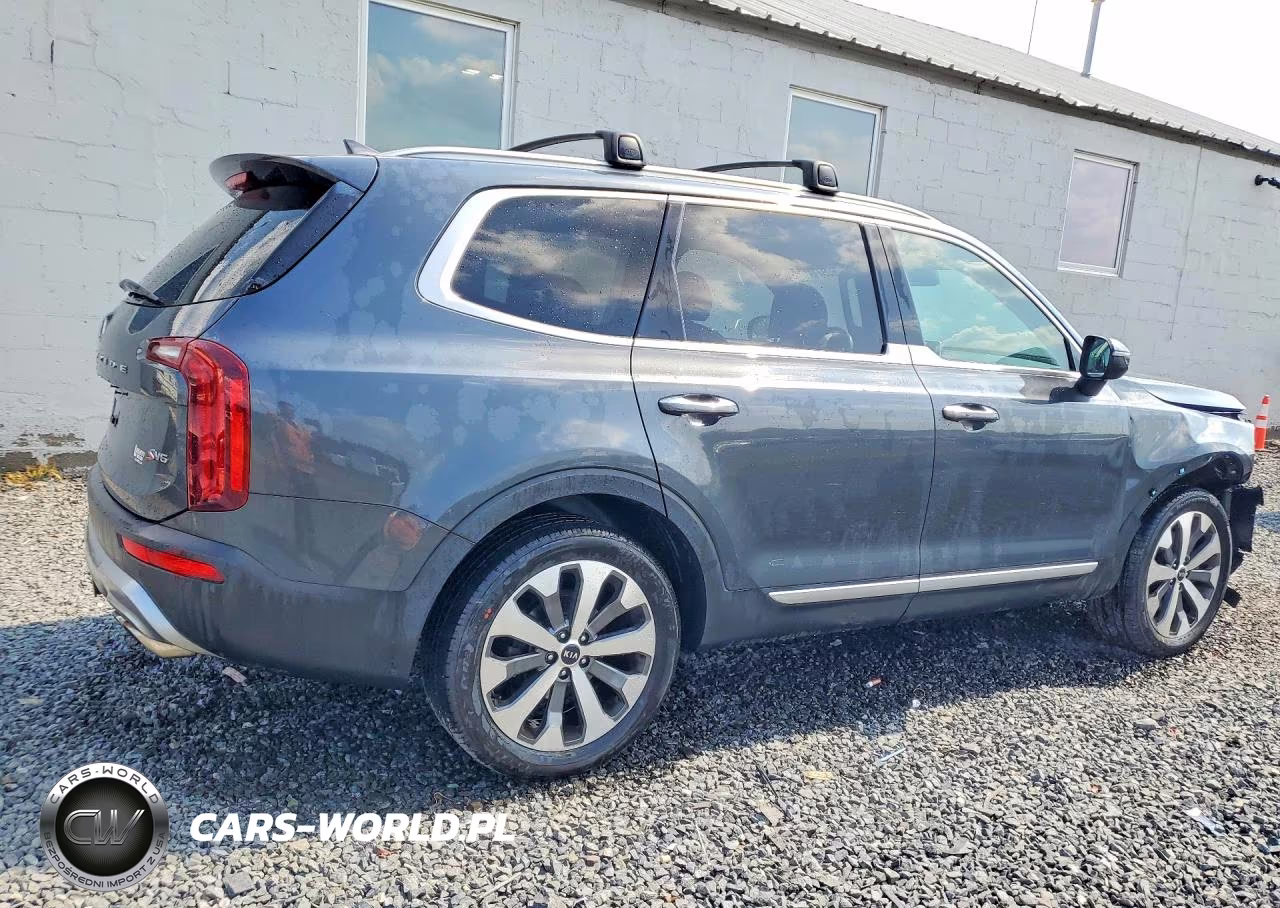 2020 Kia Telluride S VIN:5XYP6DHC3LG058542 - 3