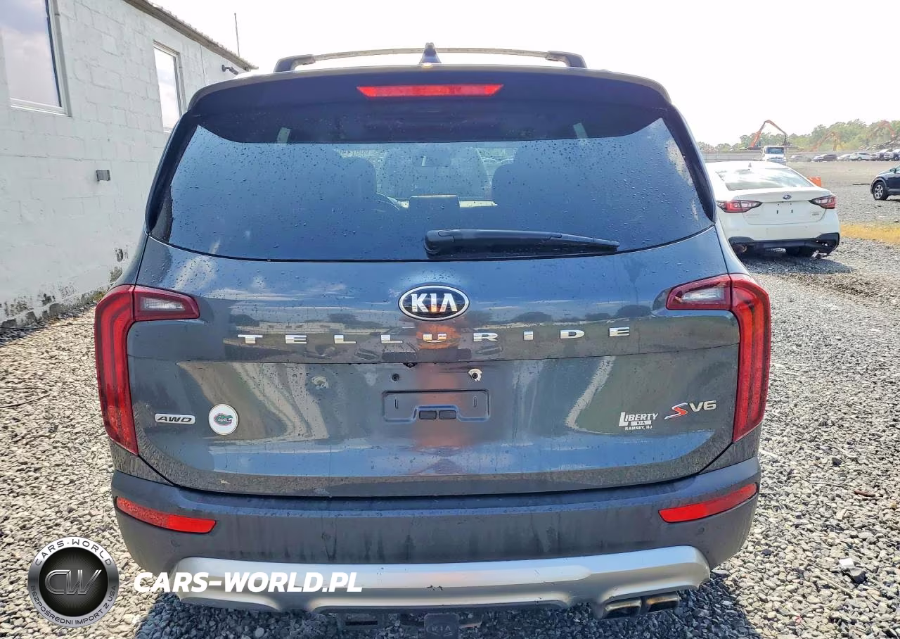2020 Kia Telluride S VIN:5XYP6DHC3LG058542 - 6