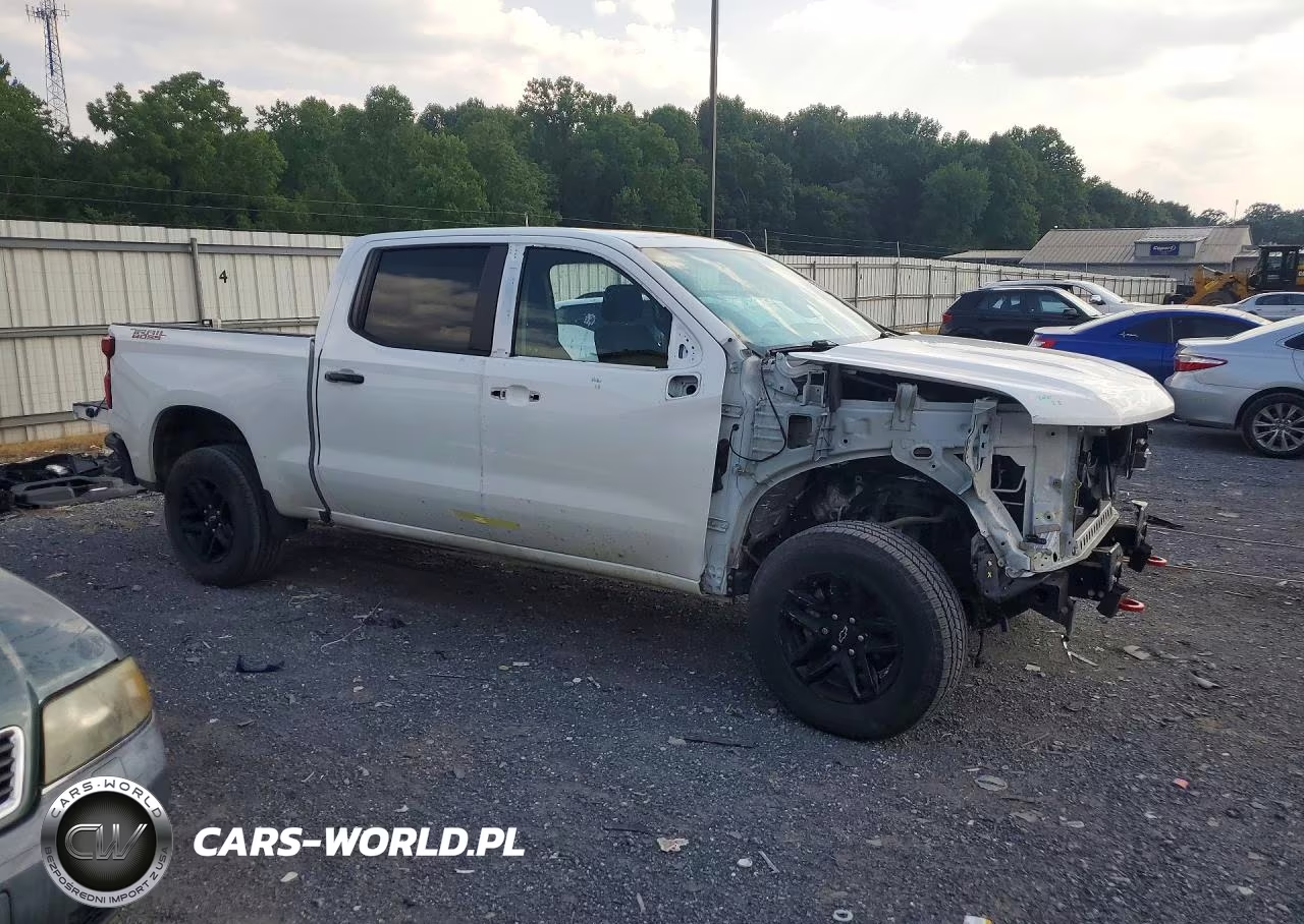 2021 Chevrolet Silverado K1500 Lt Trail Boss VIN:3GCPYFED8MG461115 - 4