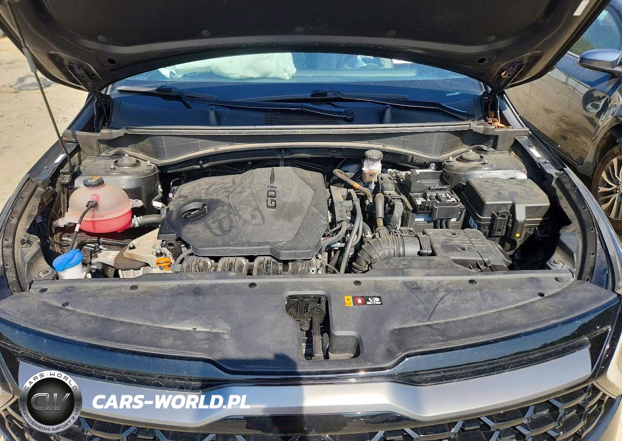 2023 Kia Sportage X Line VIN:5XYK6CAF7PG079487 - 12