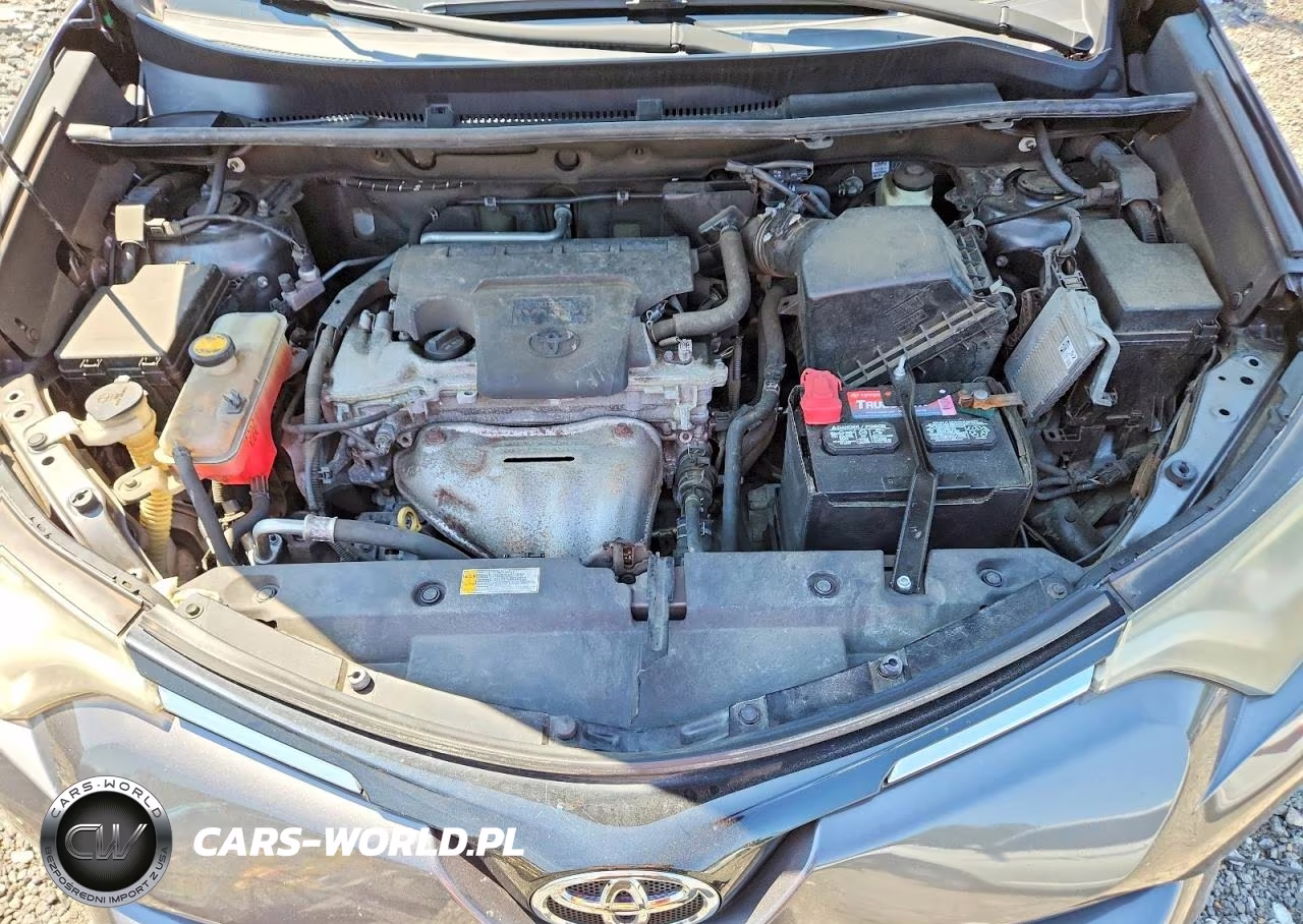 2016 Toyota Rav4 Xle VIN:2T3RFREV9GW446572 - 12