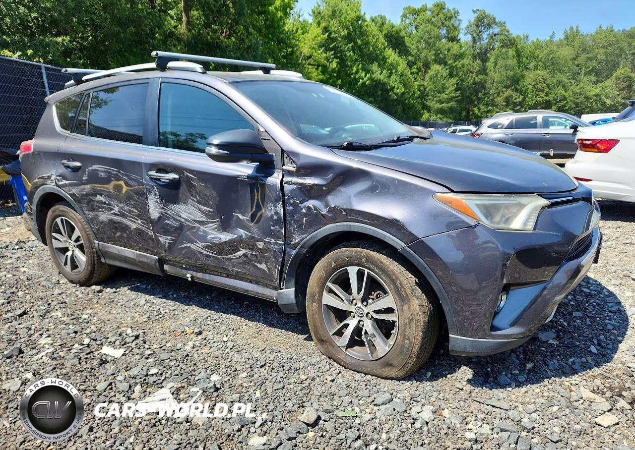 2016 Toyota Rav4 Xle VIN:2T3RFREV9GW446572 - 4