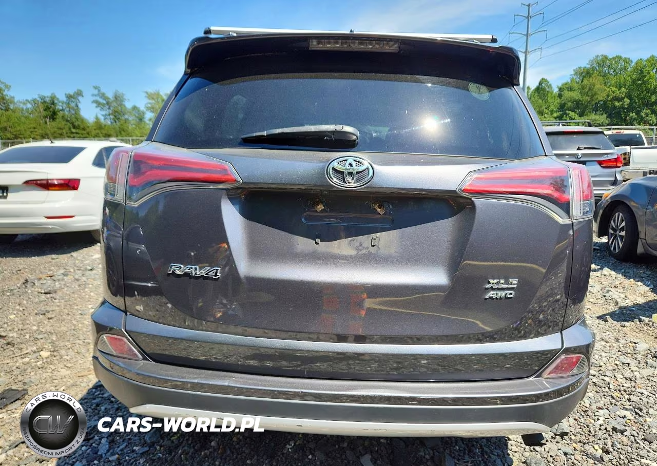 2016 Toyota Rav4 Xle VIN:2T3RFREV9GW446572 - 6