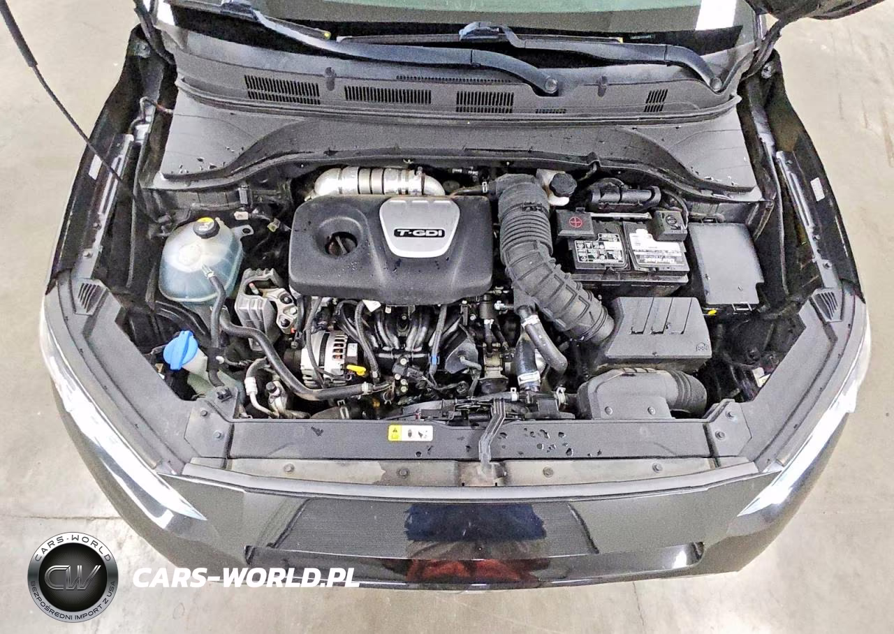 2018 Hyundai Kona Ultimate VIN:KM8K53A5XJU129875 - 12