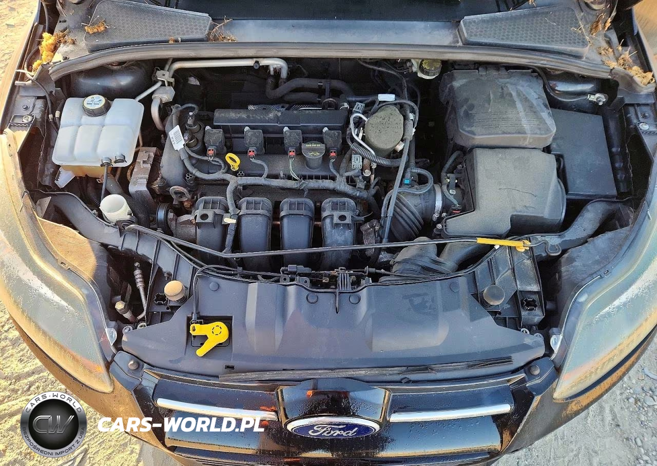 2014 Ford Focus Se VIN:1FADP3K27EL154293 - 11