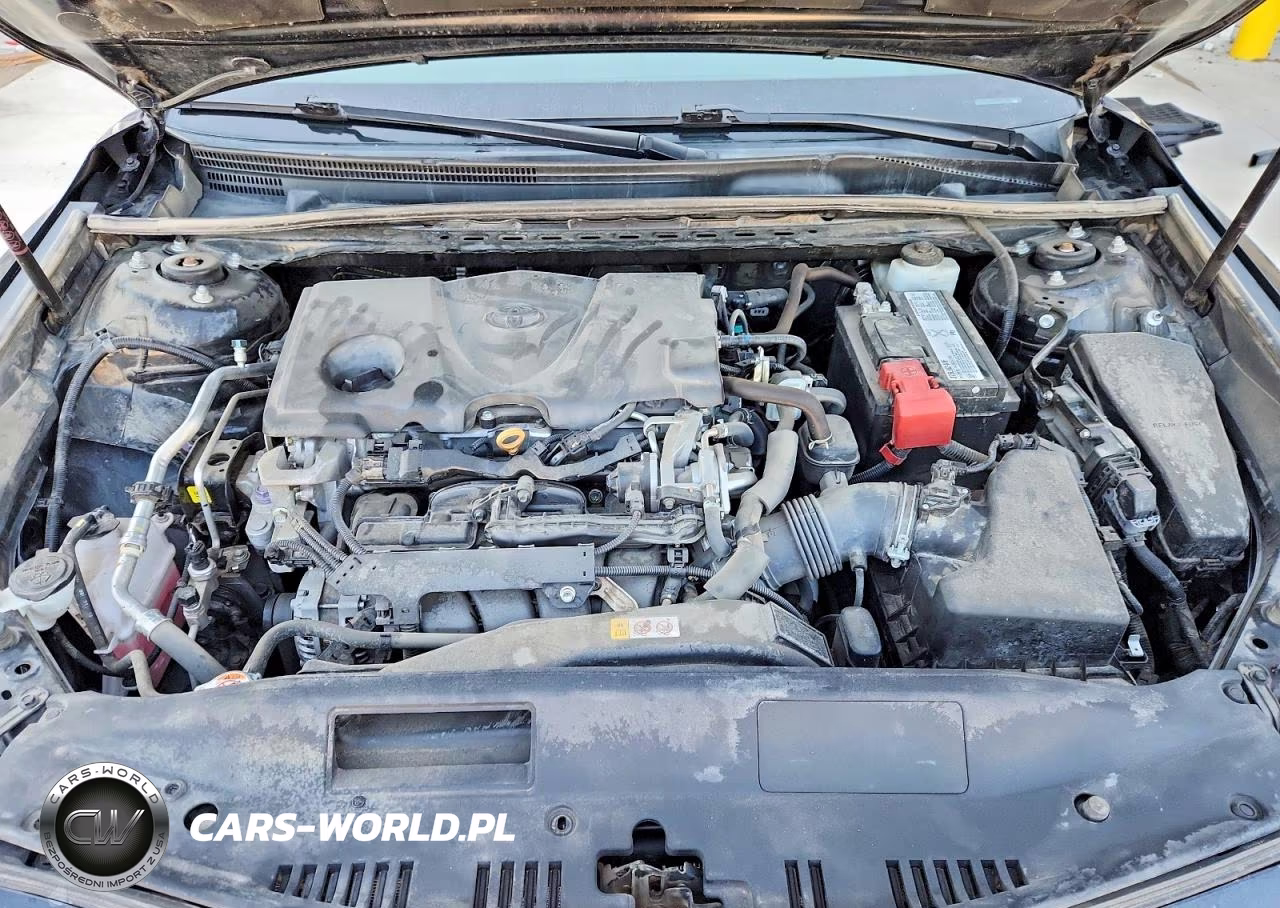 2019 Toyota Camry Le VIN:4T1B11HK9KU801339 - 11