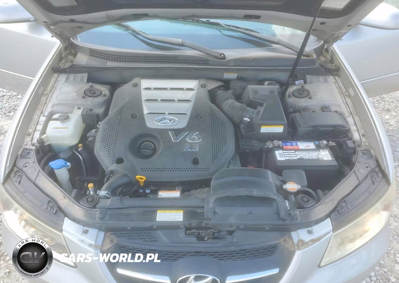 2007 Hyundai Sonata Se VIN:5NPEU46F17H236134 - 11