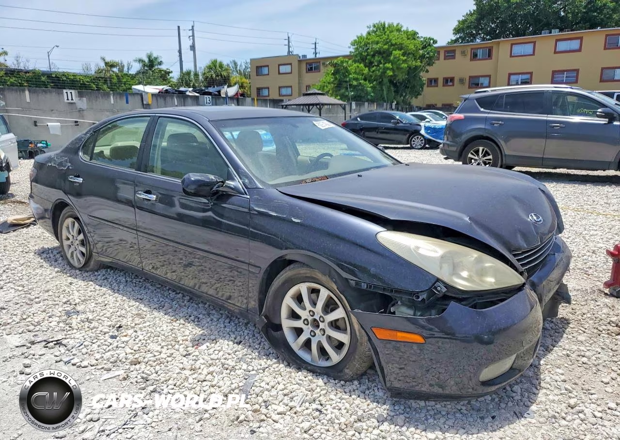 2004 Lexus Es 330 VIN:JTHBA30G645046668 - 4