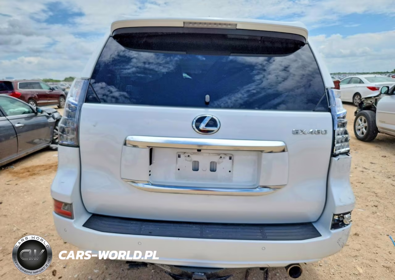 2020 Lexus Gx 460 Premium VIN:JTJAM7BX7L5263540 - 6