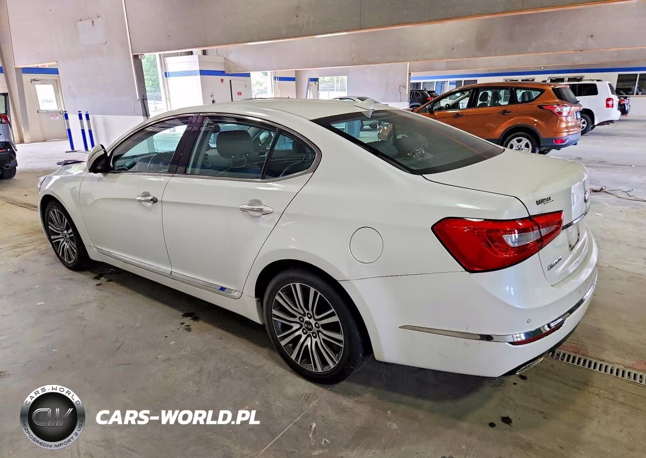 2014 Kia Cadenza Premium VIN:KNALN4D73E5153556 - 2