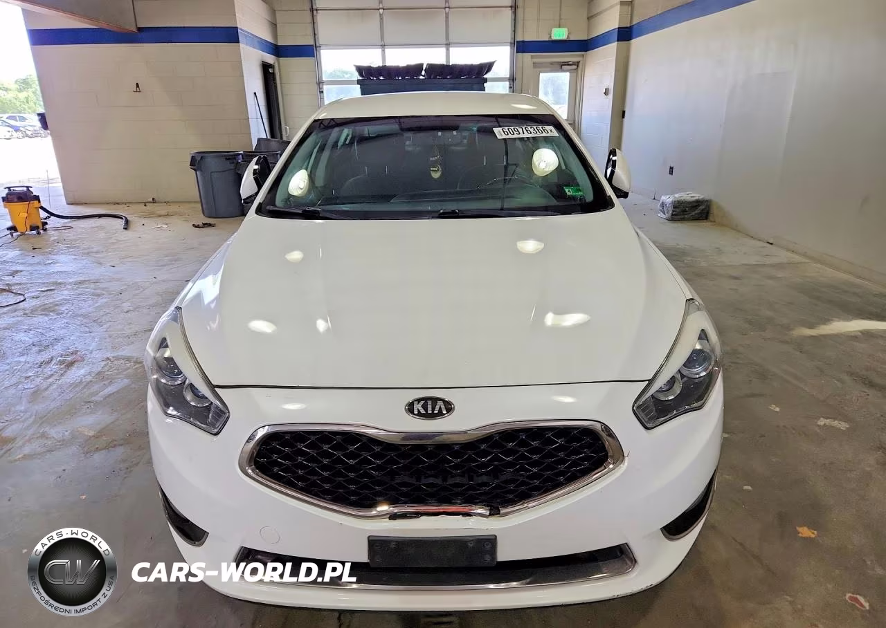2014 Kia Cadenza Premium VIN:KNALN4D73E5153556 - 5