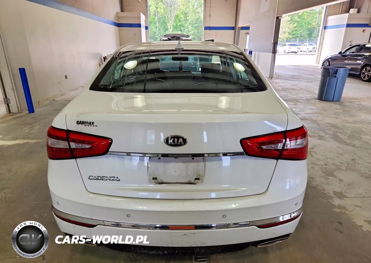 2014 Kia Cadenza Premium VIN:KNALN4D73E5153556 - 6