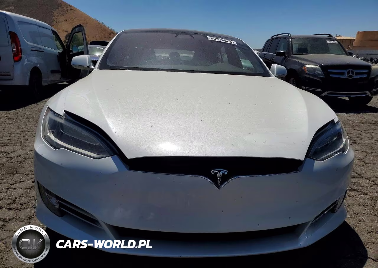 2019 Tesla Model S VIN:5YJSA1E41KF339829 - 5