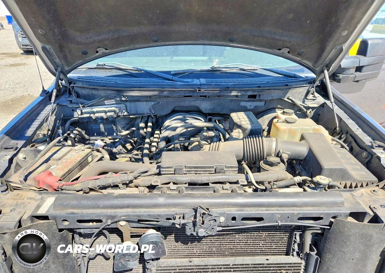2010 Ford F150 Supercrew VIN:1FTEW1C87AKE63884 - 12