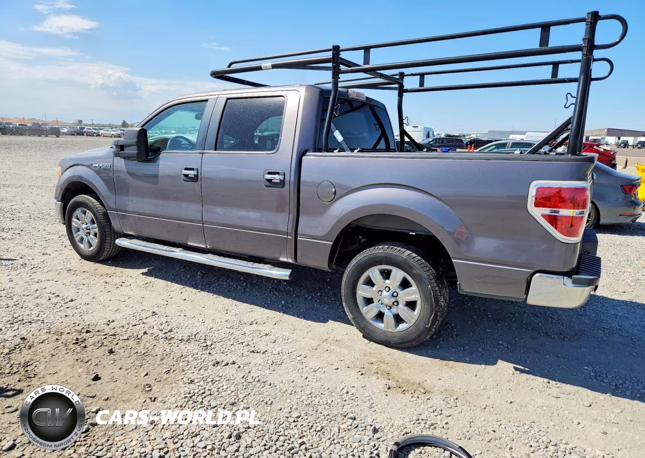 2010 Ford F150 Supercrew VIN:1FTEW1C87AKE63884 - 2