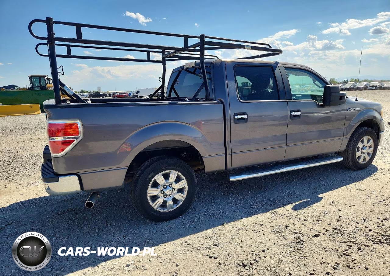 2010 Ford F150 Supercrew VIN:1FTEW1C87AKE63884 - 3