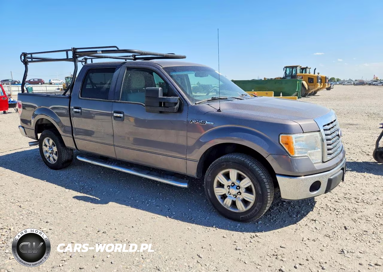 2010 Ford F150 Supercrew VIN:1FTEW1C87AKE63884 - 4