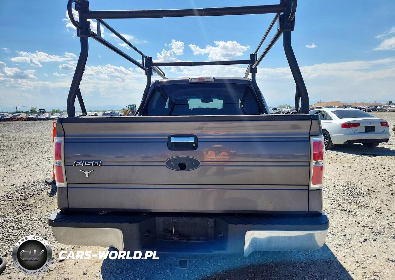 2010 Ford F150 Supercrew VIN:1FTEW1C87AKE63884 - 6