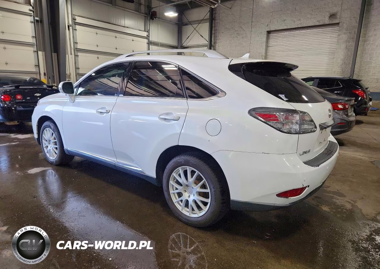 2010 Lexus Rx 350 VIN:2T2BK1BA9AC051465 - 2