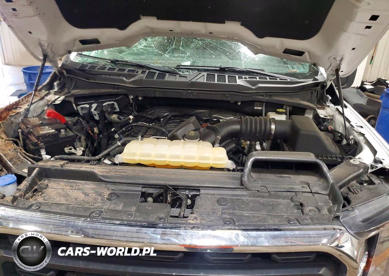 2023 Ford F150 Supercrew VIN:1FTFW1E53PKE02337 - 11