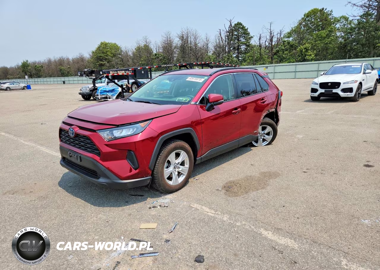 2019 Toyota Rav4 Le