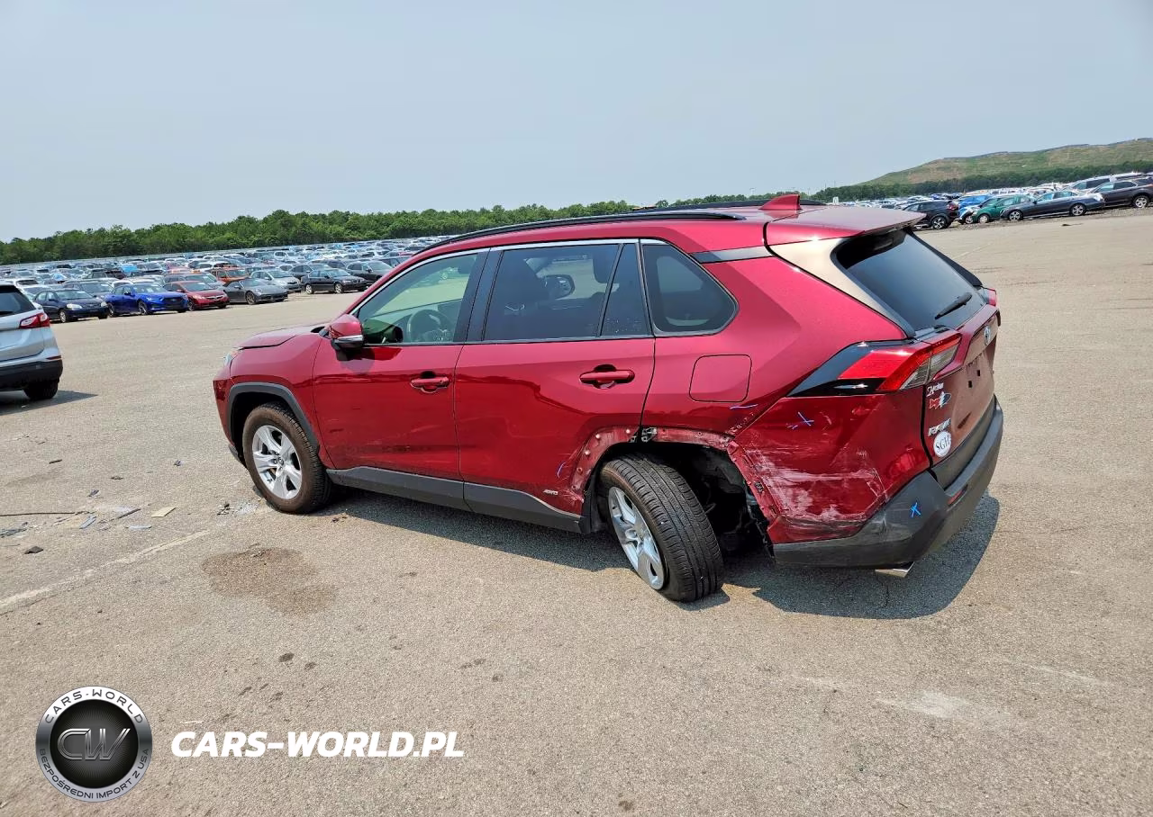 2019 Toyota Rav4 Le VIN:JTMMWRFV2KD033438 - 2