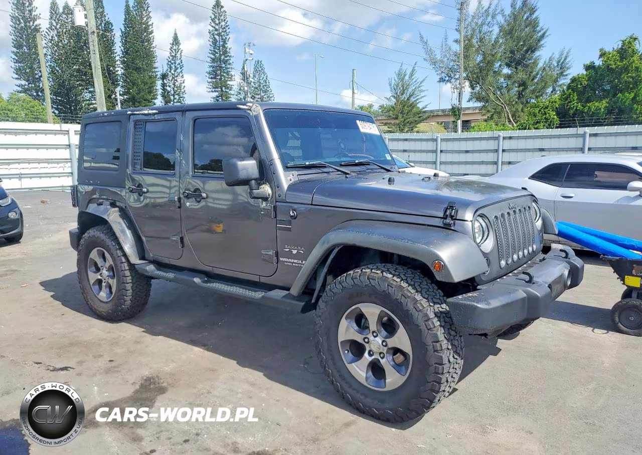 2016 Jeep Wrangler Unlimited Sahara VIN:1C4BJWEG8GL205881 - 4