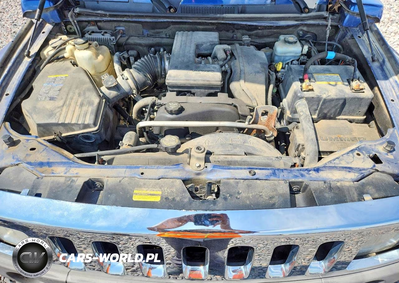 2006 Hummer H3 VIN:5GTDN136768313896 - 11