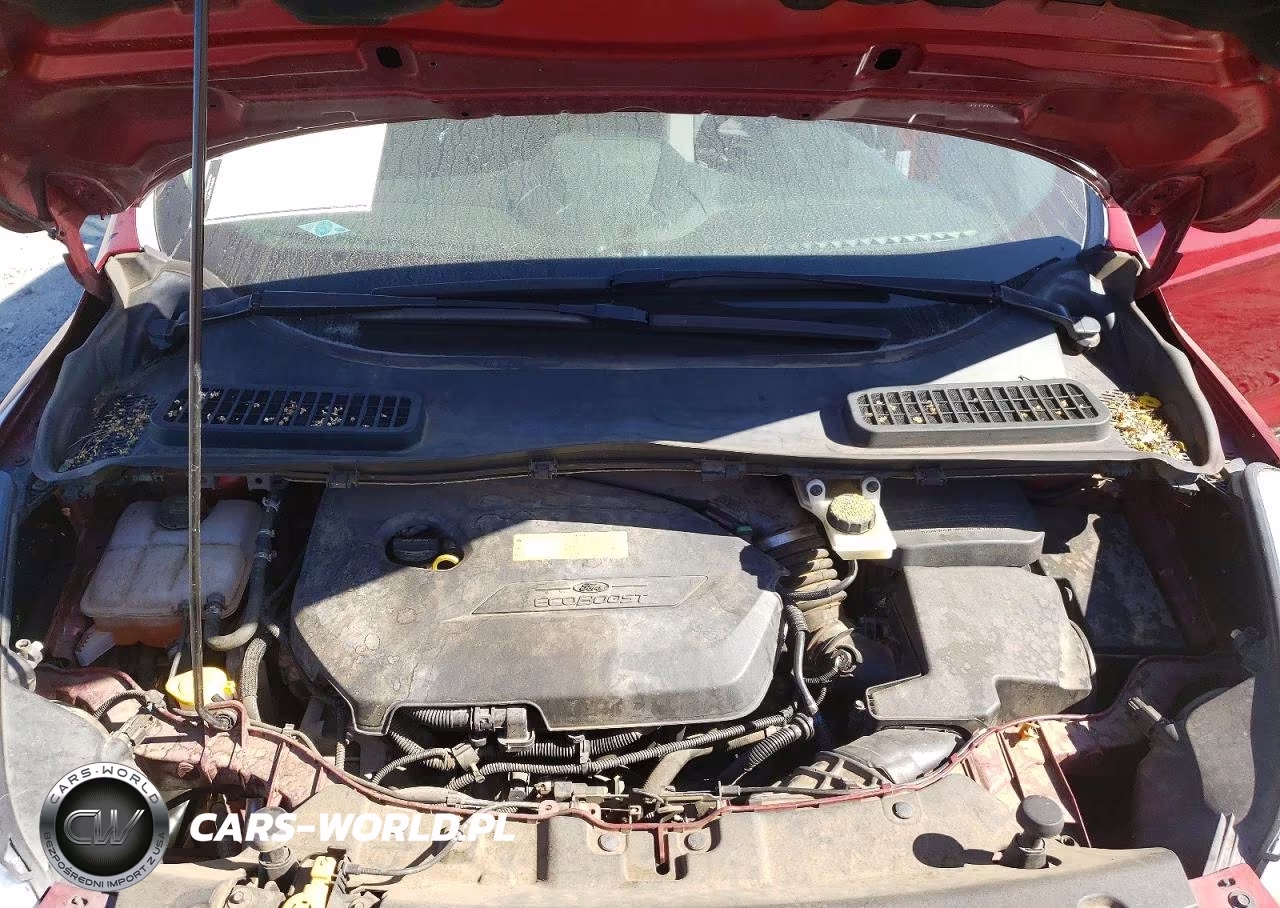 2014 Ford Escape Se VIN:1FMCU0GX6EUB32423 - 11