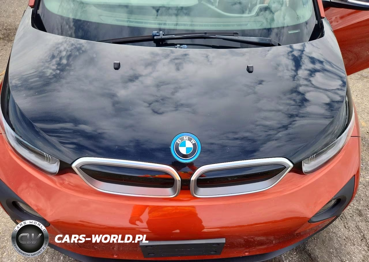 2015 BMW I3 Rex VIN:WBY1Z4C5XFV504848 - 11
