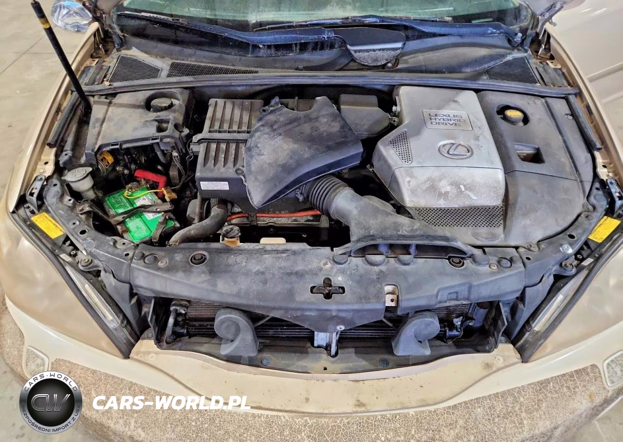 2008 Lexus Rx 400H VIN:JTJGW31U682007029 - 12