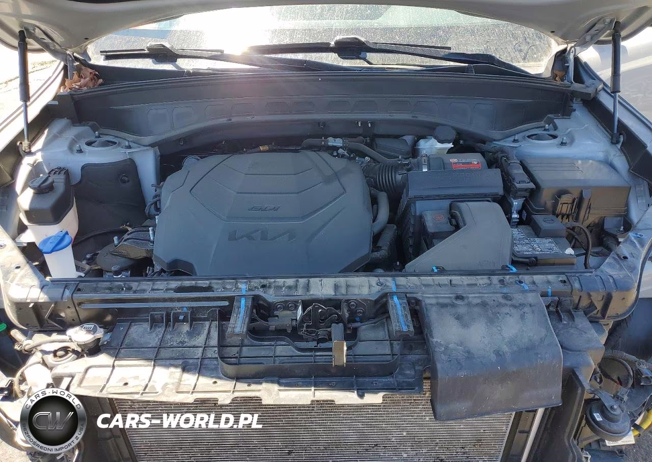 2022 Kia Telluride Ex VIN:5XYP3DHC1NG265233 - 12