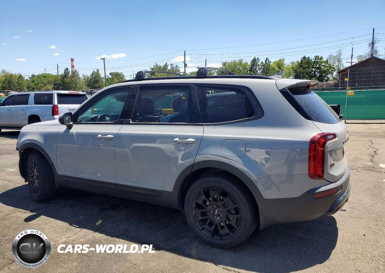 2022 Kia Telluride Ex VIN:5XYP3DHC1NG265233 - 2