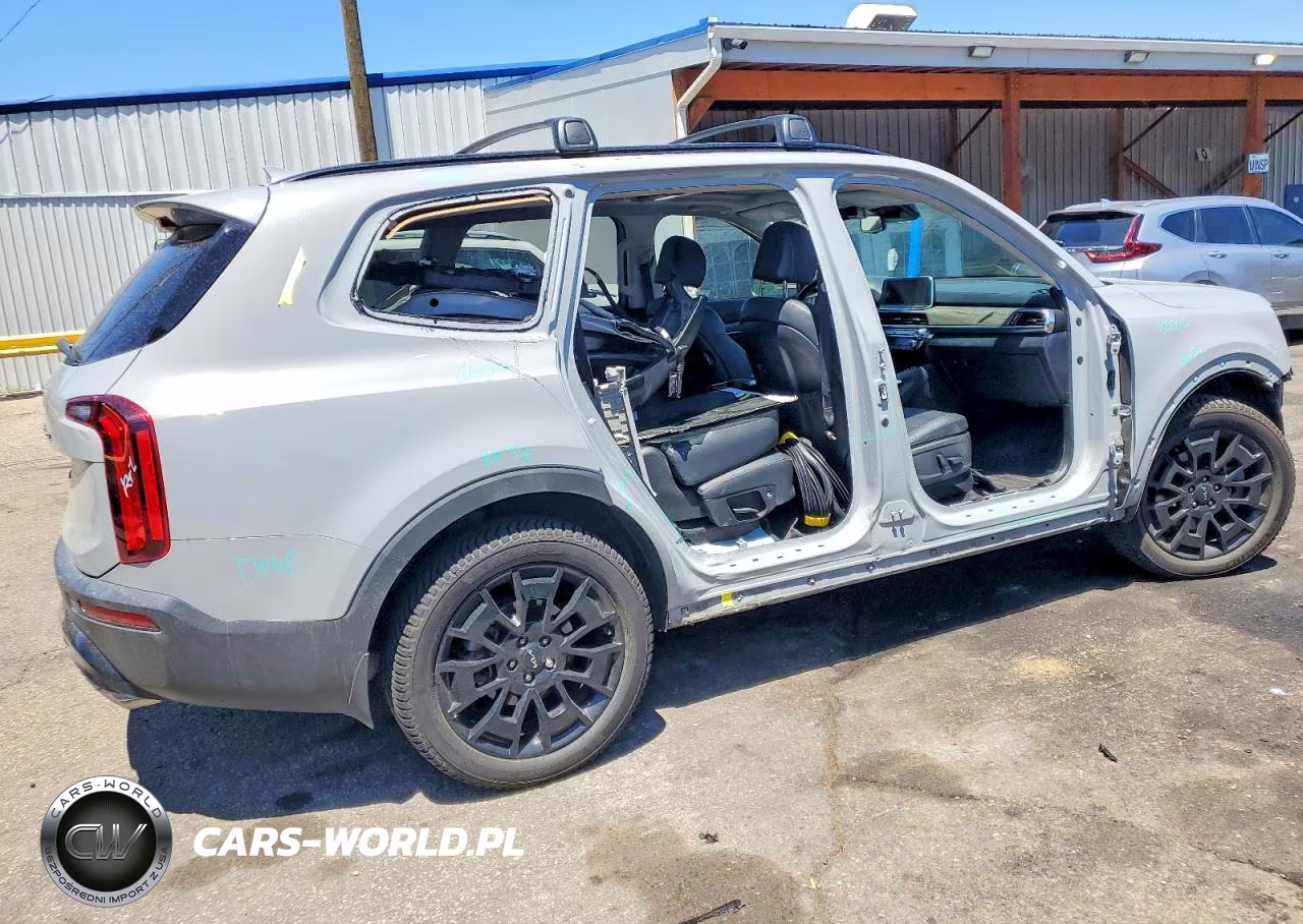 2022 Kia Telluride Ex VIN:5XYP3DHC1NG265233 - 3