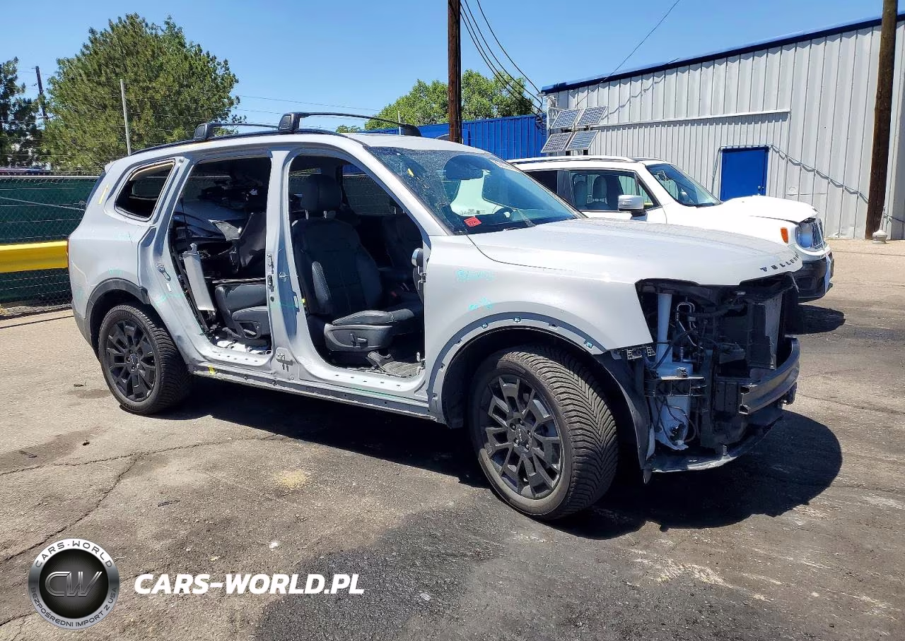 2022 Kia Telluride Ex VIN:5XYP3DHC1NG265233 - 4