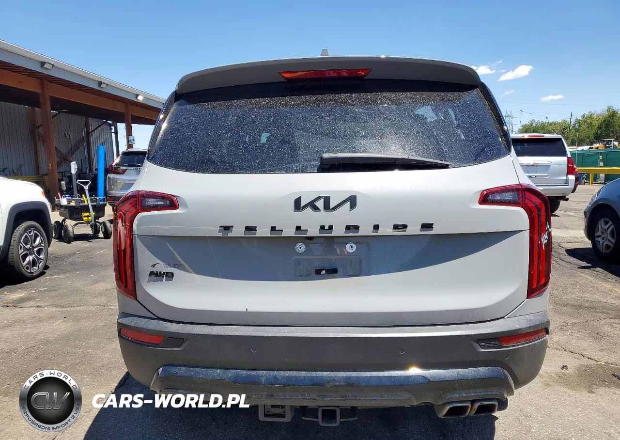 2022 Kia Telluride Ex VIN:5XYP3DHC1NG265233 - 6