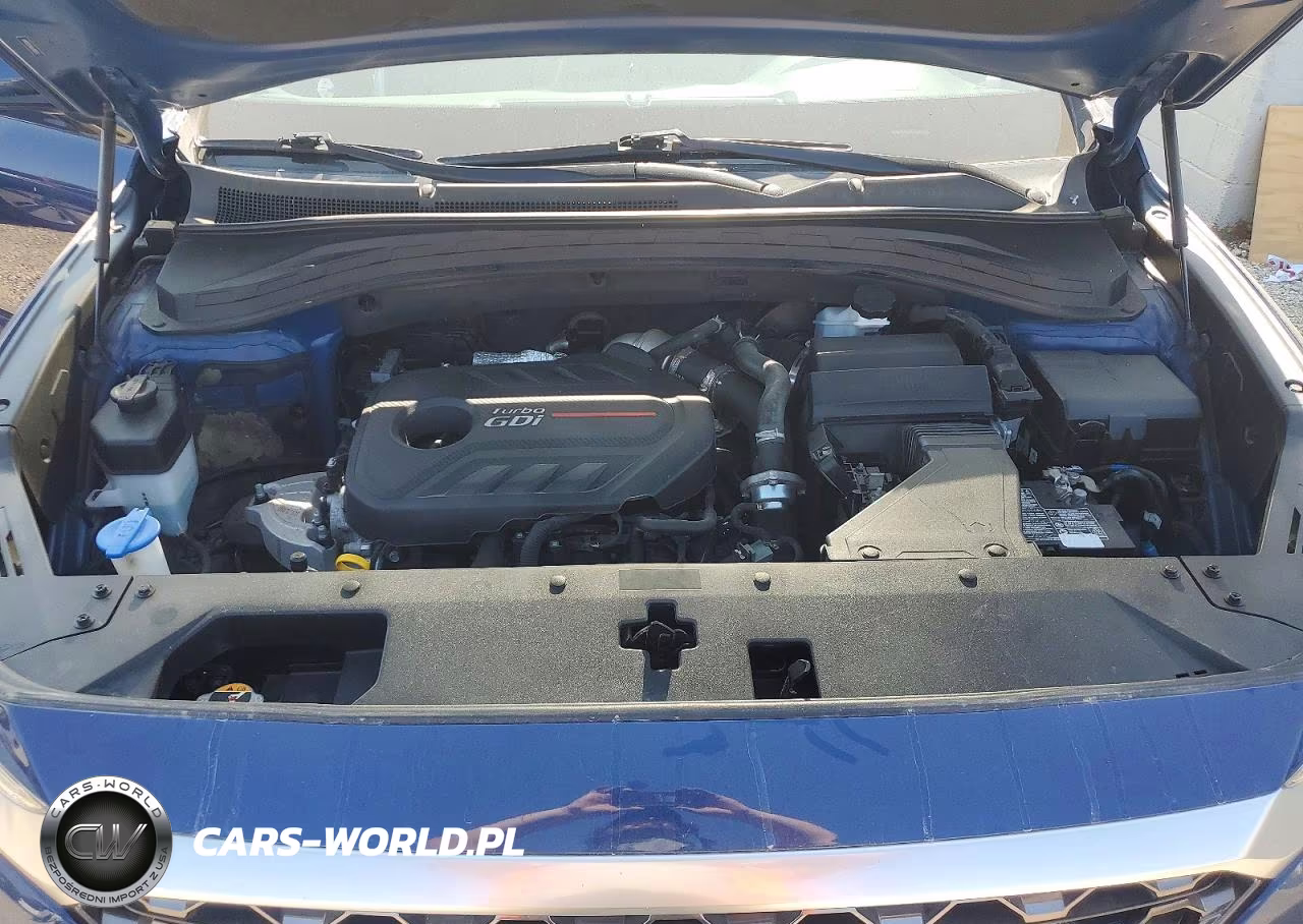 2020 Hyundai Santa Fe Sel 2.0T VIN:5NMS3CAA6LH207411 - 12