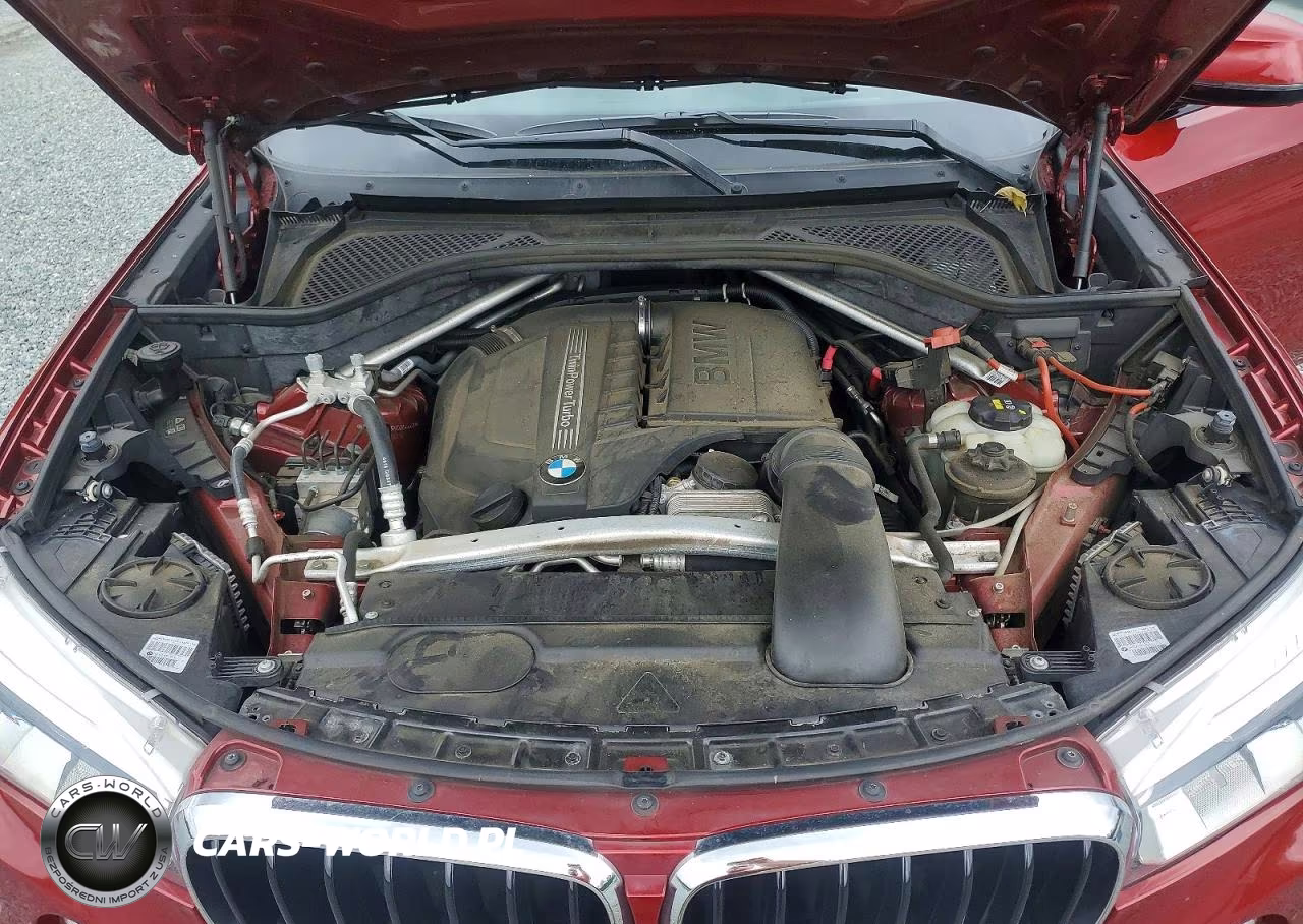 2019 BMW X6 xDrive35I VIN:5UXKU2C55K0Z64448 - 12