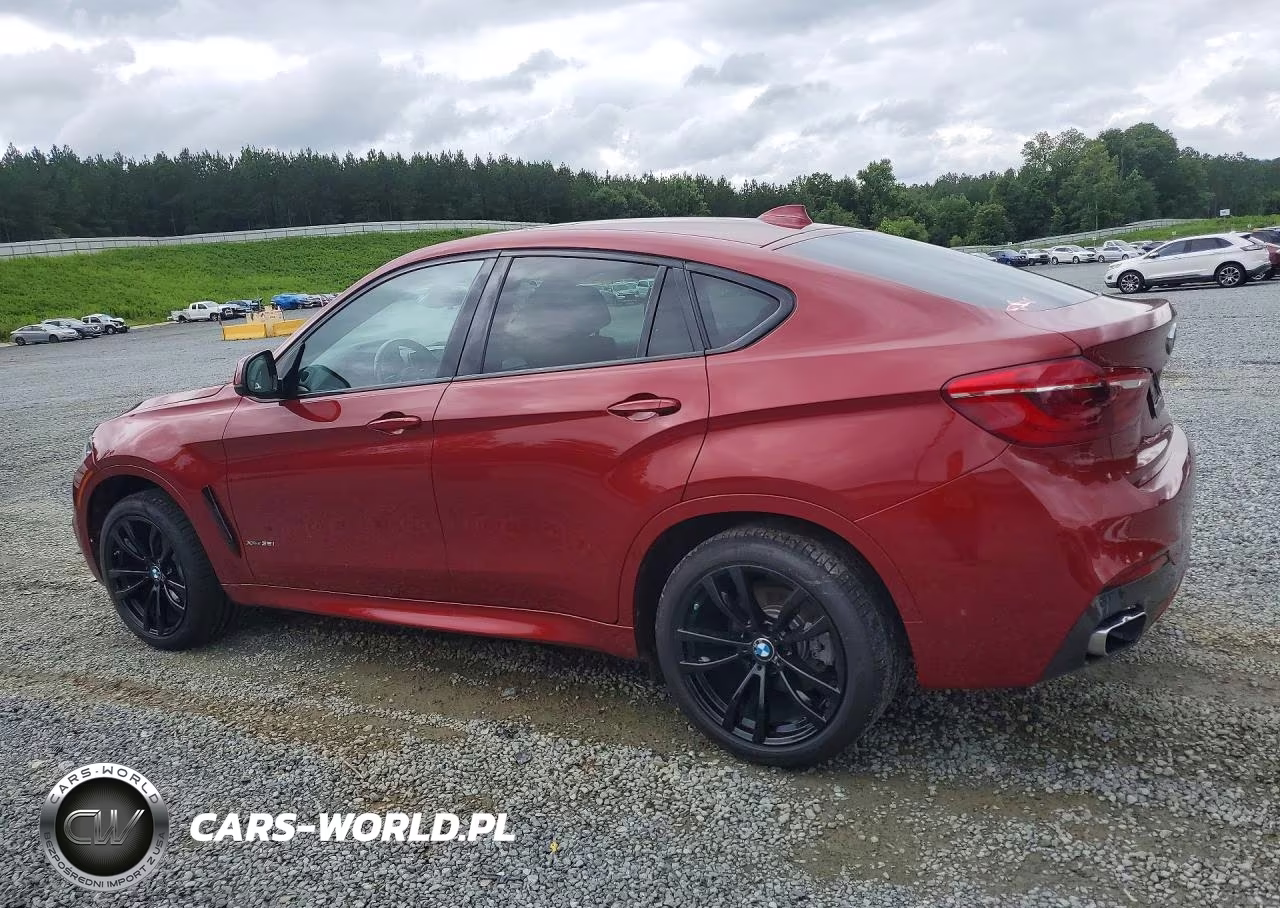 2019 BMW X6 xDrive35I VIN:5UXKU2C55K0Z64448 - 2