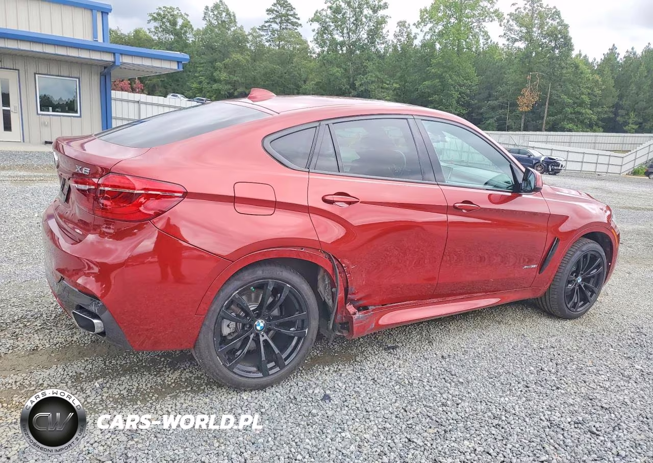 2019 BMW X6 xDrive35I VIN:5UXKU2C55K0Z64448 - 3