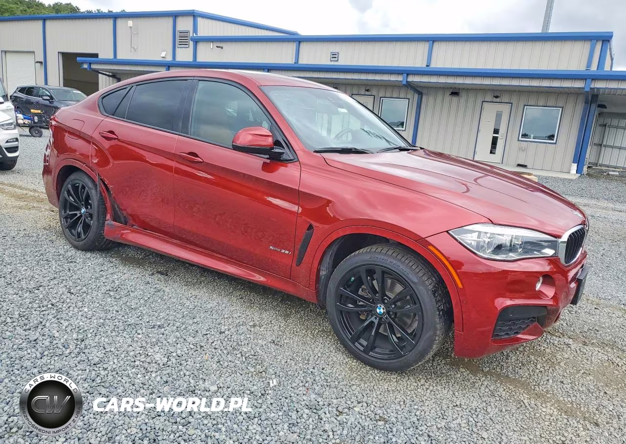 2019 BMW X6 xDrive35I VIN:5UXKU2C55K0Z64448 - 4