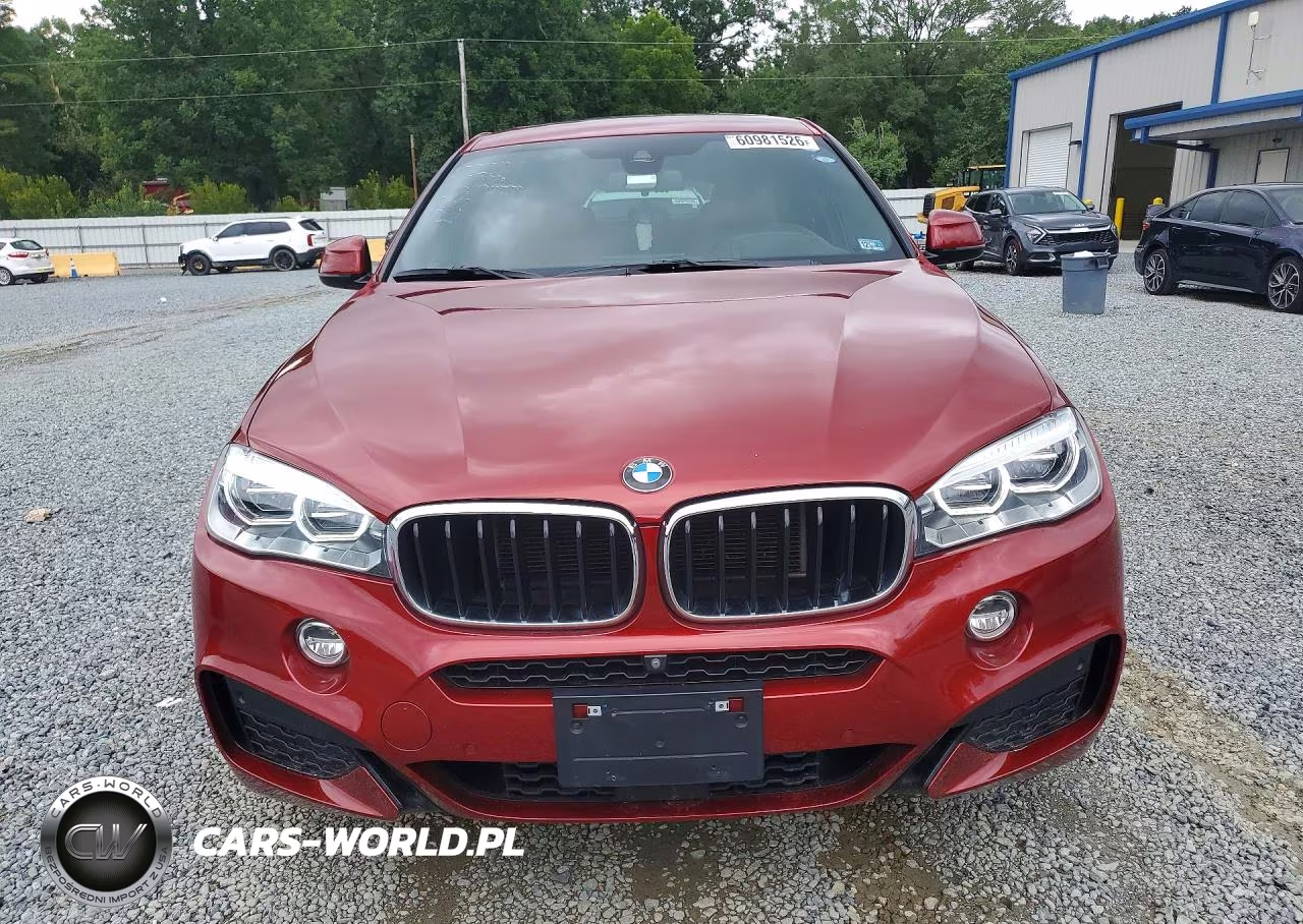 2019 BMW X6 xDrive35I VIN:5UXKU2C55K0Z64448 - 5