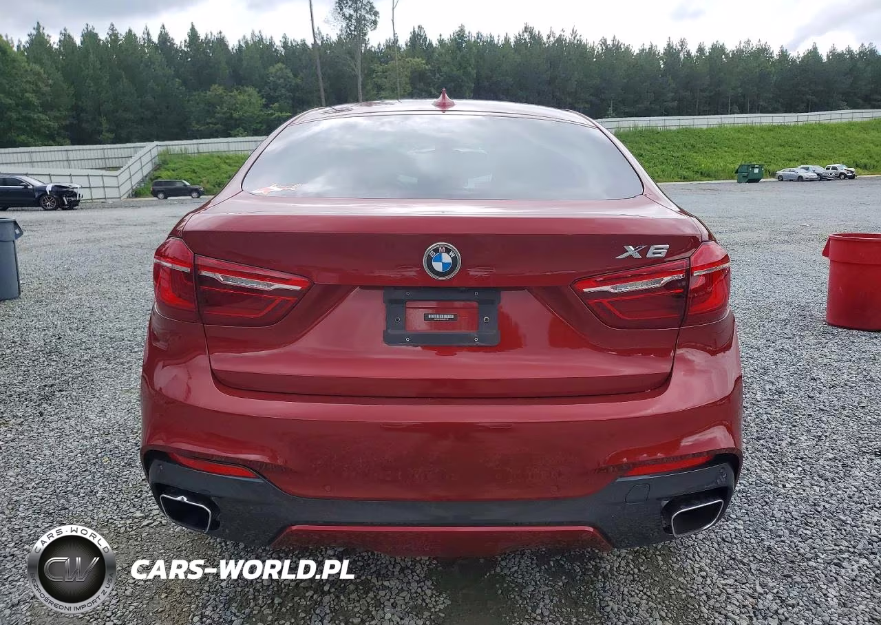 2019 BMW X6 xDrive35I VIN:5UXKU2C55K0Z64448 - 6