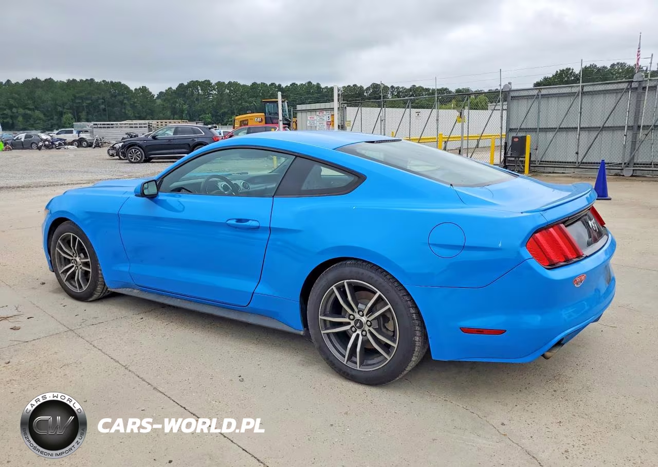 2017 Ford Mustang VIN:1FA6P8TH0H5226419 - 2