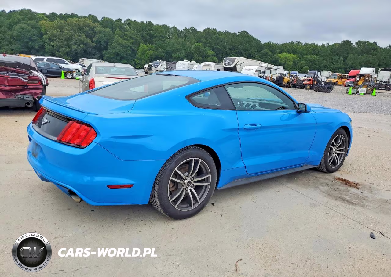 2017 Ford Mustang VIN:1FA6P8TH0H5226419 - 3
