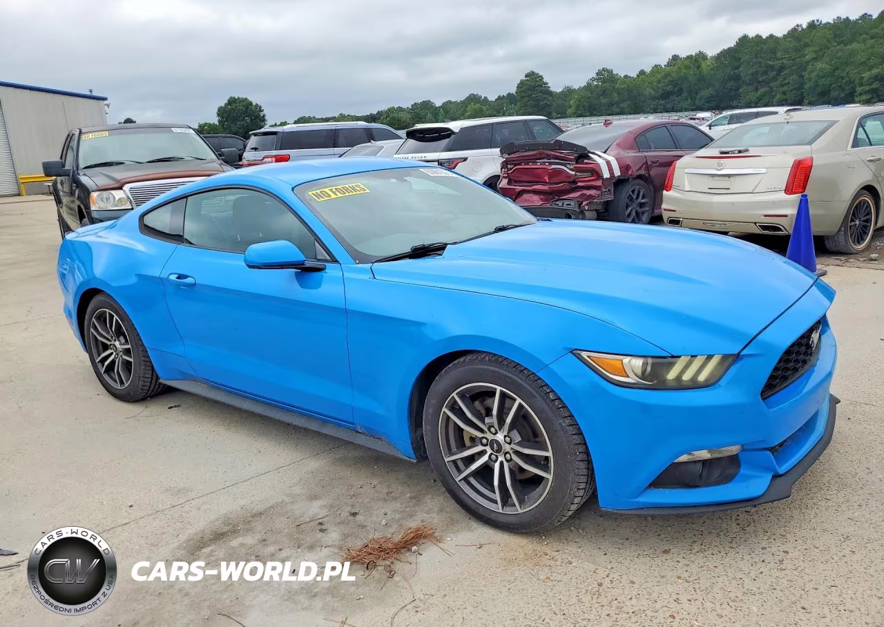 2017 Ford Mustang VIN:1FA6P8TH0H5226419 - 4