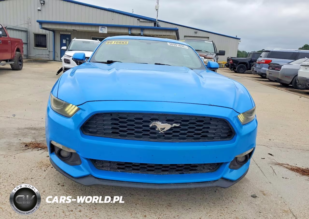 2017 Ford Mustang VIN:1FA6P8TH0H5226419 - 5
