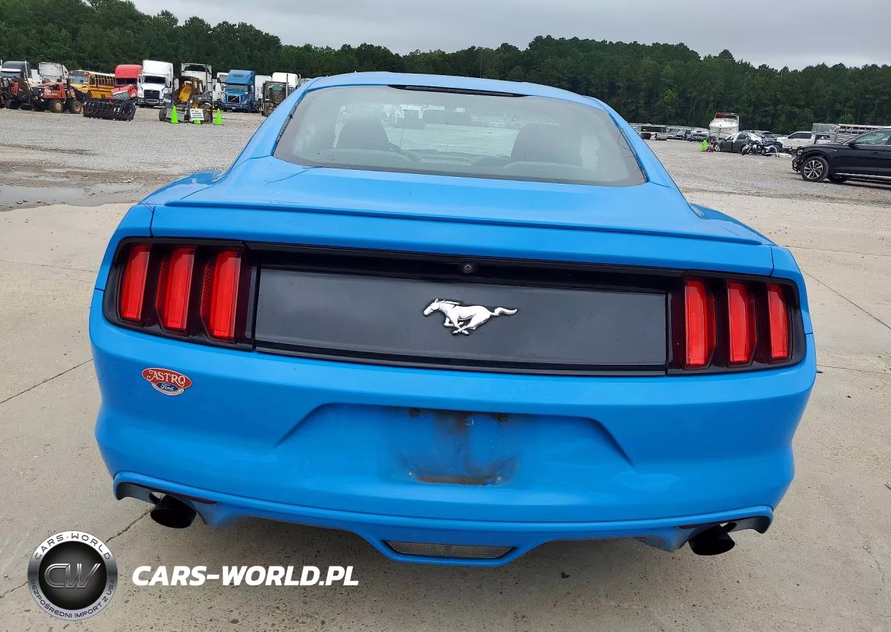2017 Ford Mustang VIN:1FA6P8TH0H5226419 - 6