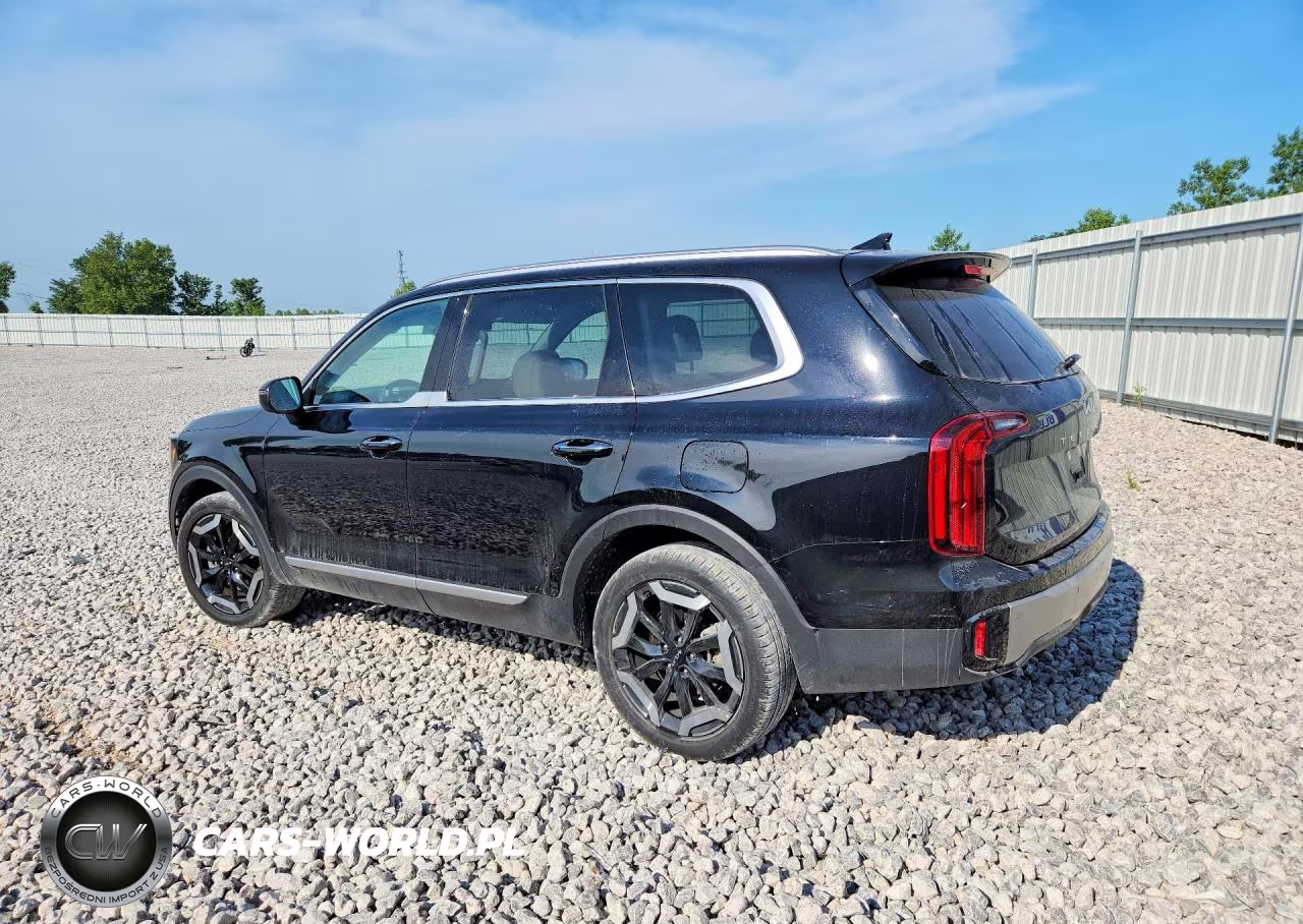 2025 Kia Telluride S VIN:5XYP6DGC8SG653094 - 2